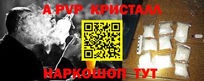 дурь Бердск