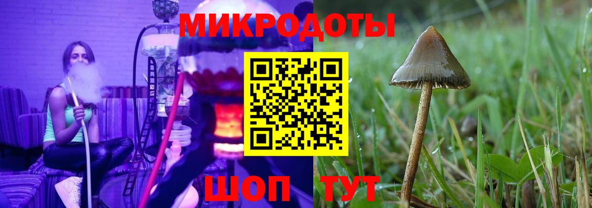 Верхняя Пышма  Галлюциногенные грибы Psilocybe  Вход с VPN 